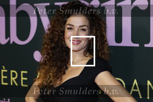Amsterdam 25 november 2024
Premiere Babygirl in Tuschinski . Halina Reijn is de producente. katja Schuurman kwam met een vriendin