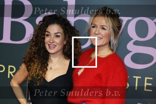 Amsterdam 25 november 2024
Premiere Babygirl in Tuschinski . Halina Reijn is de producente. katja Schuurman kwam met een vriendin