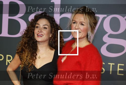 Amsterdam 25 november 2024
Premiere Babygirl in Tuschinski . Halina Reijn is de producente. katja Schuurman kwam met een vriendin