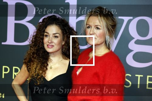 Amsterdam 25 november 2024
Premiere Babygirl in Tuschinski . Halina Reijn is de producente. katja Schuurman kwam met een vriendin