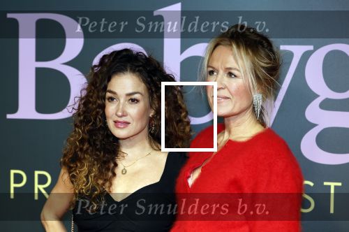 Amsterdam 25 november 2024
Premiere Babygirl in Tuschinski . Halina Reijn is de producente. katja Schuurman kwam met een vriendin