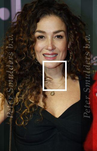 Amsterdam 25 november 2024
Premiere Babygirl in Tuschinski . Halina Reijn is de producente. Katja Schuurman kwam met een vriendin