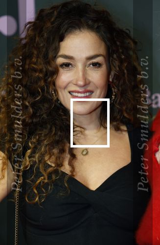 Amsterdam 25 november 2024
Premiere Babygirl in Tuschinski . Halina Reijn is de producente. Katja Schuurman kwam met een vriendin