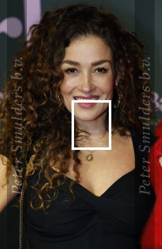 Amsterdam 25 november 2024
Premiere Babygirl in Tuschinski . Halina Reijn is de producente. Katja Schuurman kwam met een vriendin