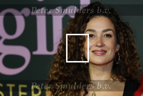 Amsterdam 25 november 2024
Premiere Babygirl in Tuschinski . Halina Reijn is de producente. Katja Schuurman kwam met een vriendin
