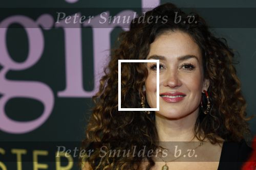 Amsterdam 25 november 2024
Premiere Babygirl in Tuschinski . Halina Reijn is de producente. Katja Schuurman kwam met een vriendin