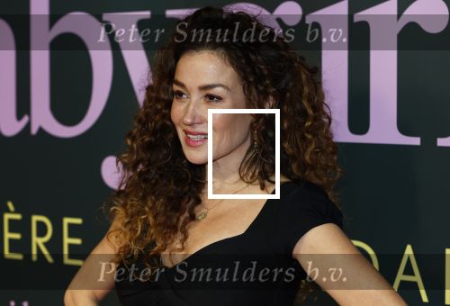 Amsterdam 25 november 2024
Premiere Babygirl in Tuschinski . Halina Reijn is de producente. Katja Schuurman kwam met een vriendin