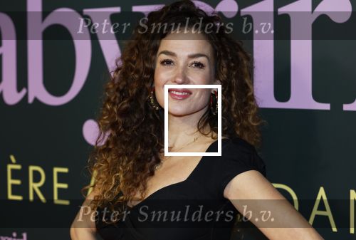 Amsterdam 25 november 2024
Premiere Babygirl in Tuschinski . Halina Reijn is de producente. Katja Schuurman kwam met een vriendin