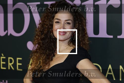 Amsterdam 25 november 2024
Premiere Babygirl in Tuschinski . Halina Reijn is de producente. Katja Schuurman kwam met een vriendin