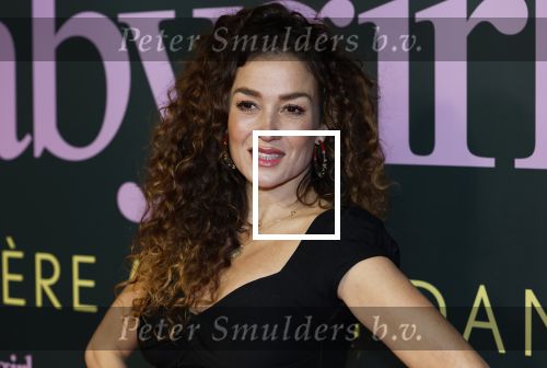 Amsterdam 25 november 2024
Premiere Babygirl in Tuschinski . Halina Reijn is de producente. Katja Schuurman kwam met een vriendin