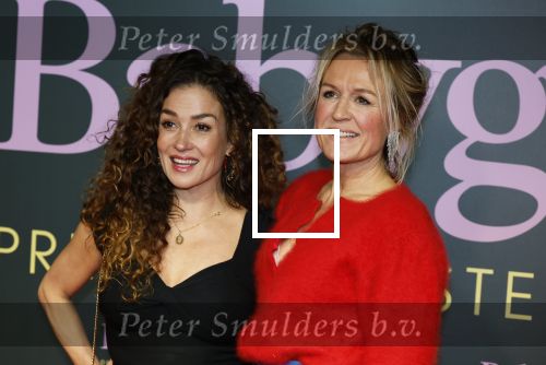 Amsterdam 25 november 2024
Premiere Babygirl in Tuschinski . Halina Reijn is de producente. Katja Schuurman kwam met een vriendin