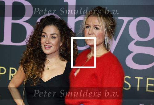 Amsterdam 25 november 2024
Premiere Babygirl in Tuschinski . Halina Reijn is de producente. Katja Schuurman kwam met een vriendin