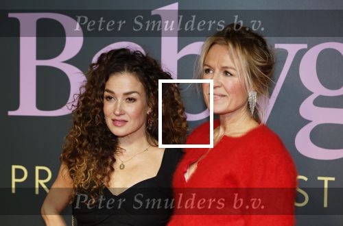 Amsterdam 25 november 2024
Premiere Babygirl in Tuschinski . Halina Reijn is de producente. Katja Schuurman kwam met een vriendin