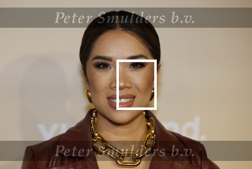 Amsterdam 25 november 2024
Presentatie nieuwe seizoen real housewives of Amsterdam in het Amstel hotel  met oa Maria Tailor Tamara Elbaz Kimmylien nguyen Cherry Ann Person Angela v d Brink Djamila Celina en Deborah Luijendijk.