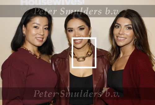 Amsterdam 25 november 2024
Presentatie nieuwe seizoen real housewives of Amsterdam in het Amstel hotel  met oa Maria Tailor Tamara Elbaz Kimmylien nguyen Cherry Ann Person Angela v d Brink Djamila Celina en Deborah Luijendijk.