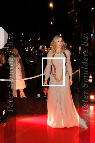 Amsterdam 14 november 2024
Koningin Maxima opent beeldentuin in Stedelijk museum . Er is veel politie en beveiliging aanwezig.