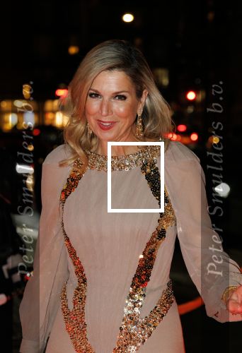 Amsterdam 14 november 2024
Koningin Maxima opent beeldentuin in Stedelijk museum . Er is veel politie en beveiliging aanwezig.