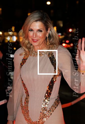 Amsterdam 14 november 2024
Koningin Maxima opent beeldentuin in Stedelijk museum . Er is veel politie en beveiliging aanwezig.