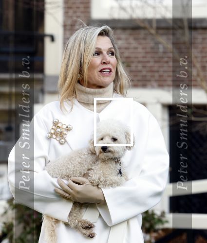 Amsterdam 29 november 2024
Fotouurtje Koninklijk huis met Koning Willem Alexander Koningin Maxima Prinses Amalia Prinses Alexia Prinses Ariane en hun hondje Mambo . De shoot vond plaats op het Begijnhof in het centrum van Amsterdam.