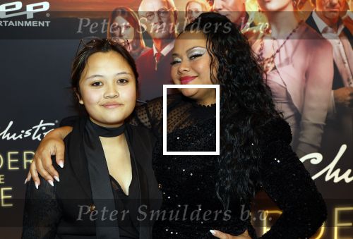 Zaandam 10 november 2024
Premiere murder on the nile in zaantheater. Linda wagemakers kwam met haar dochter