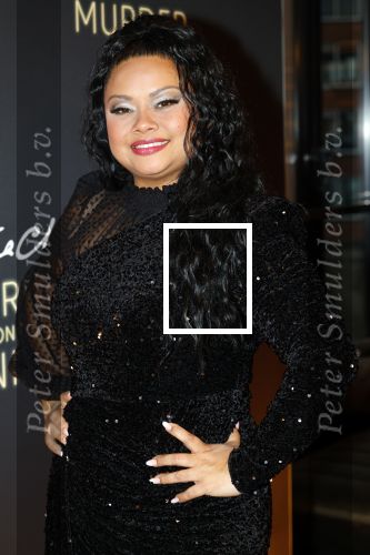 Zaandam 10 november 2024
Premiere murder on the nile in zaantheater. Linda wagemakers kwam met haar dochter