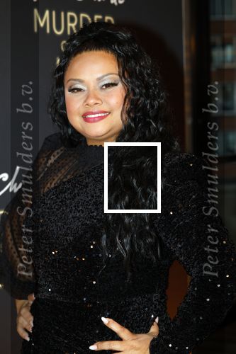 Zaandam 10 november 2024
Premiere murder on the nile in zaantheater. Linda wagemakers kwam met haar dochter