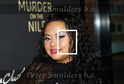 Zaandam 10 november 2024
Premiere murder on the nile in zaantheater. Linda wagemakers kwam met haar dochter