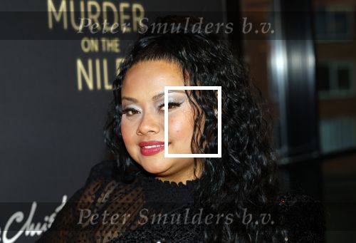 Zaandam 10 november 2024
Premiere murder on the nile in zaantheater. Linda wagemakers kwam met haar dochter