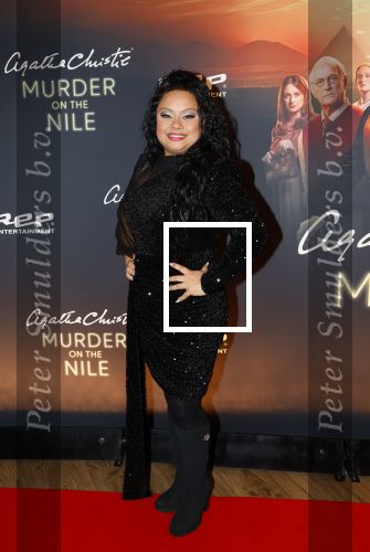 Zaandam 10 november 2024
Premiere murder on the nile in zaantheater. Linda wagemakers kwam met haar dochter
