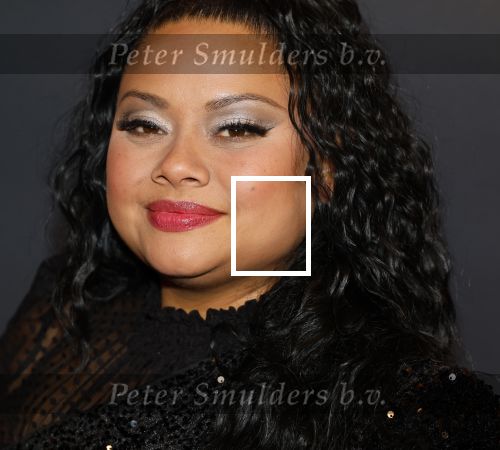 Zaandam 10 november 2024
Premiere murder on the nile in zaantheater. Linda wagemakers kwam met haar dochter
