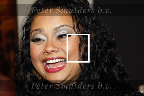 Zaandam 10 november 2024
Premiere murder on the nile in zaantheater. Linda wagemakers kwam met haar dochter