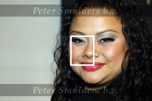 Zaandam 10 november 2024
Premiere murder on the nile in zaantheater. Linda wagemakers