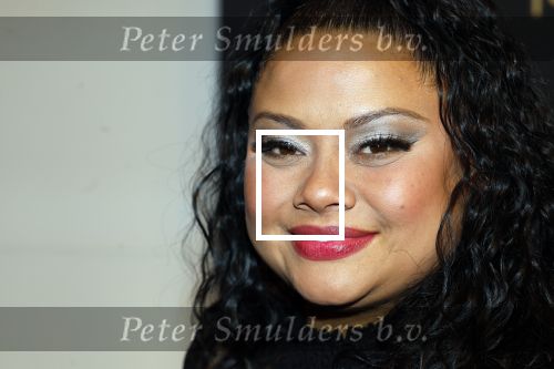 Zaandam 10 november 2024
Premiere murder on the nile in zaantheater. Linda wagemakers