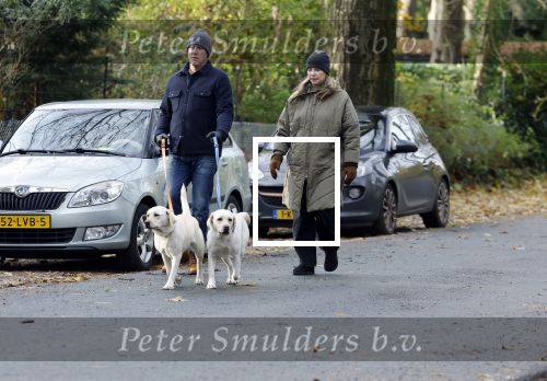Huizen 24 november 2024
Linda de Mol en partner Jeroen Rietbergen aan het wandelen met hun 2 labradors / honden