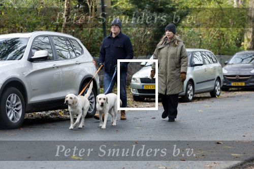 Huizen 24 november 2024
Linda de Mol en partner Jeroen Rietbergen aan het wandelen met hun 2 labradors / honden