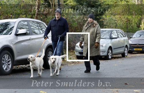 Huizen 24 november 2024
Linda de Mol en partner Jeroen Rietbergen aan het wandelen met hun 2 labradors / honden