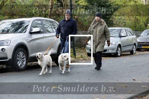 Huizen 24 november 2024
Linda de Mol en partner Jeroen Rietbergen aan het wandelen met hun 2 labradors / honden