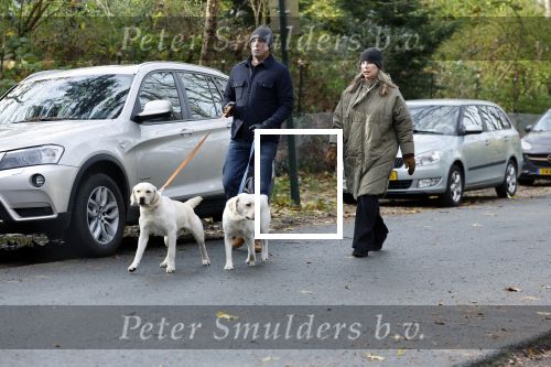 Huizen 24 november 2024
Linda de Mol en partner Jeroen Rietbergen aan het wandelen met hun 2 labradors / honden