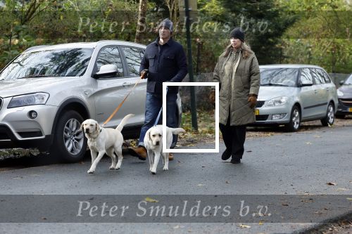 Huizen 24 november 2024
Linda de Mol en partner Jeroen Rietbergen aan het wandelen met hun 2 labradors / honden