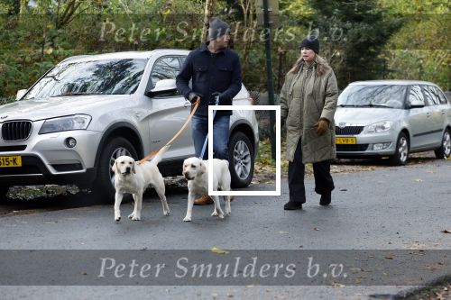 Huizen 24 november 2024
Linda de Mol en partner Jeroen Rietbergen aan het wandelen met hun 2 labradors / honden