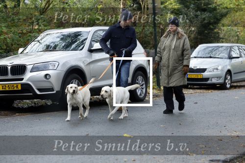 Huizen 24 november 2024
Linda de Mol en partner Jeroen Rietbergen aan het wandelen met hun 2 labradors / honden