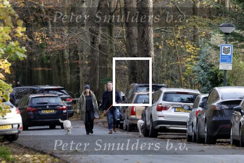 Huizen 24 november 2024
Linda de Mol en partner Jeroen Rietbergen aan het wandelen met hun 2 labradors / honden