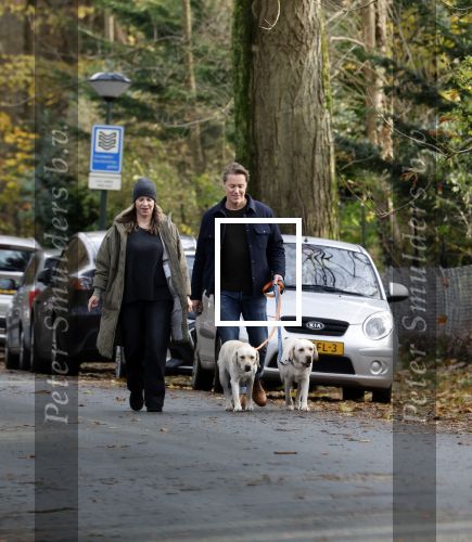 Huizen 24 november 2024
Linda de Mol en partner Jeroen Rietbergen aan het wandelen met hun 2 labradors / honden