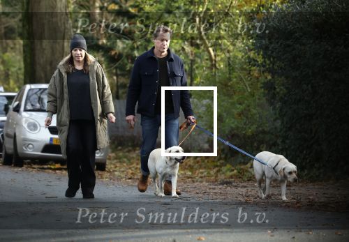 Huizen 24 november 2024
Linda de Mol en partner Jeroen Rietbergen aan het wandelen met hun 2 labradors / honden