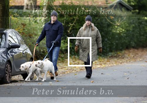 Huizen 24 november 2024
Linda de Mol en partner Jeroen Rietbergen aan het wandelen met hun 2 labradors / honden
