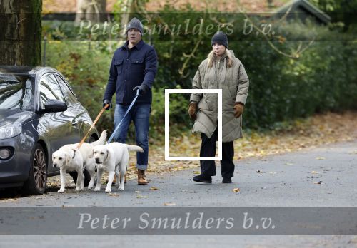 Huizen 24 november 2024
Linda de Mol en partner Jeroen Rietbergen aan het wandelen met hun 2 labradors / honden