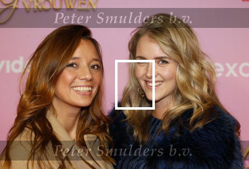 Amsterdam 22 oktober 2024
Premiere Gooische vrouwen in het DeLaMar theater. Liza Sips