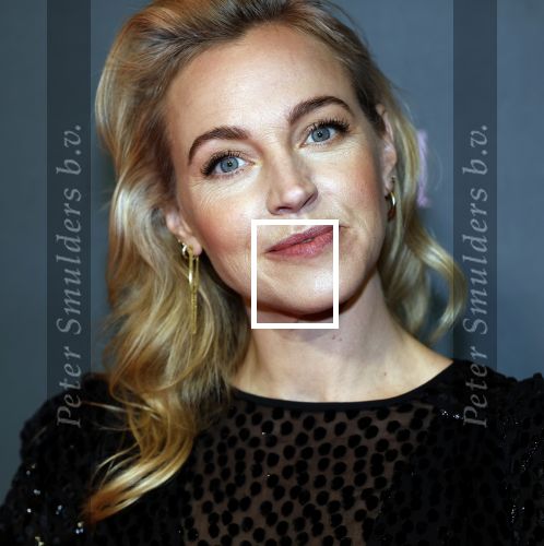 Amsterdam 25 november 2024
Premiere Babygirl in Tuschinski . Halina Reijn is de producente. Loes Haverkort