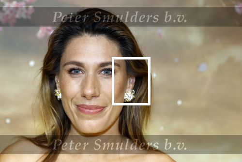 Amsterdam 3 december 2024
Premiere Wicked in Tuschinski. malou Petter kwam met haar zus