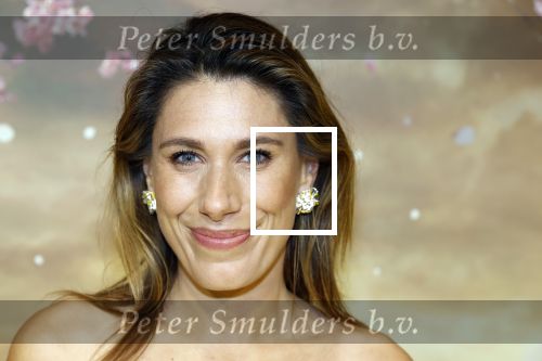 Amsterdam 3 december 2024
Premiere Wicked in Tuschinski. malou Petter kwam met haar zus